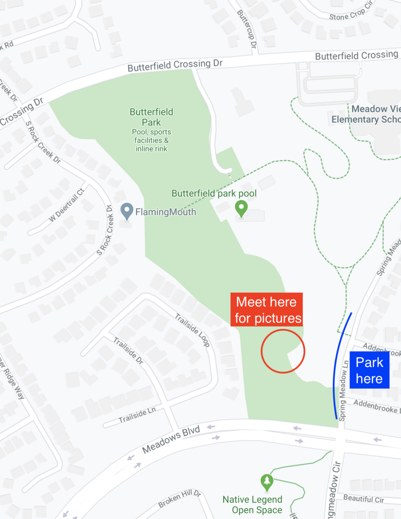 Screen Shot 2020-05-07 at 8.09.40 AM