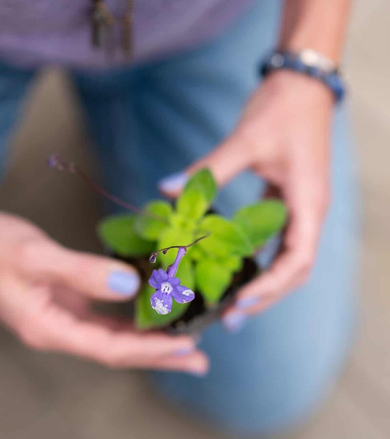 Jaime holding a small purple flower