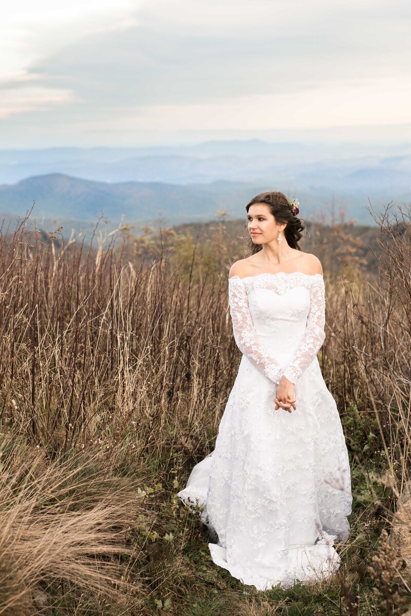 greenville sc mountain bridal portrait