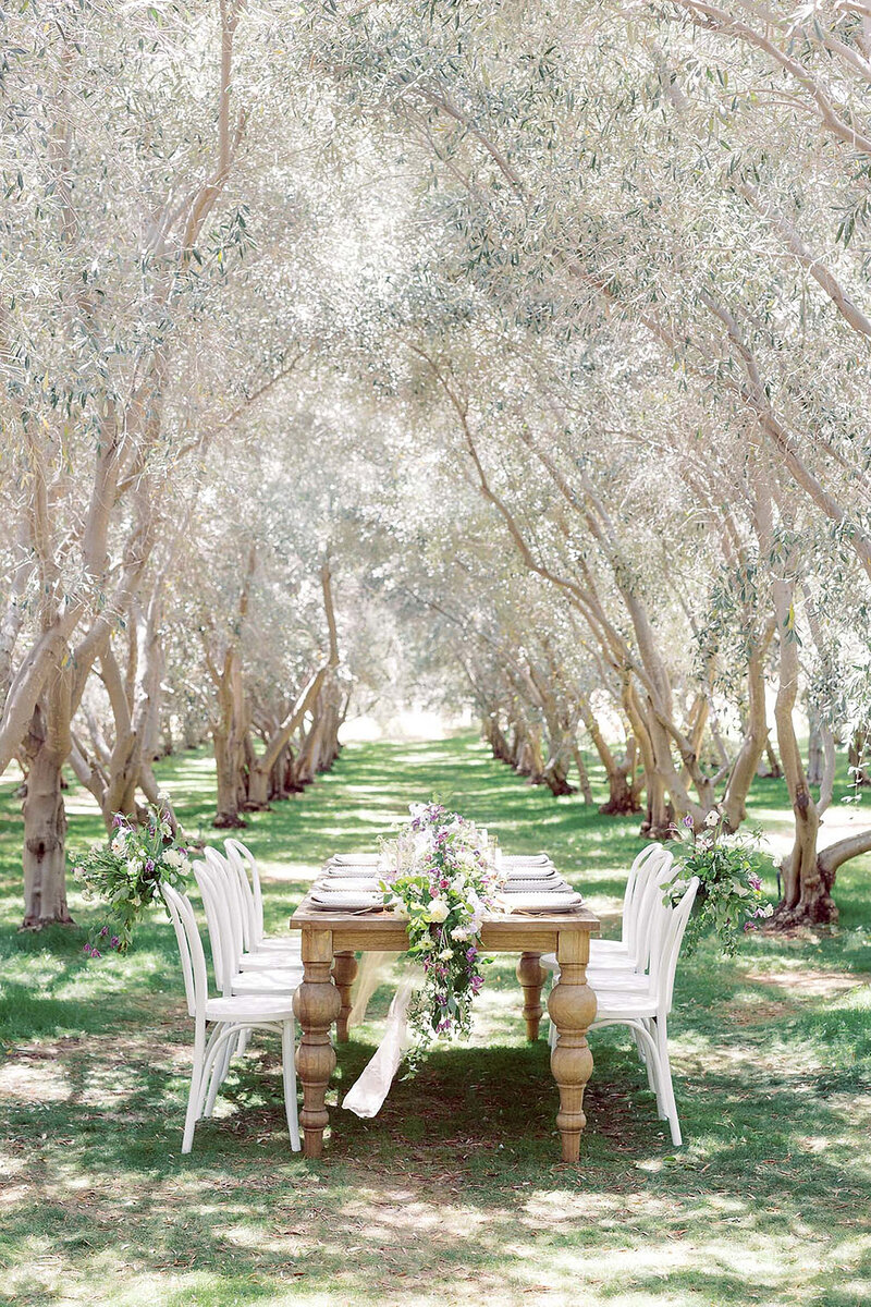 13-radiant-love-events-wooden-table-seating-of-8-middle-of-olive-tree-orchard-outdoors-romantic-elegant-timeless
