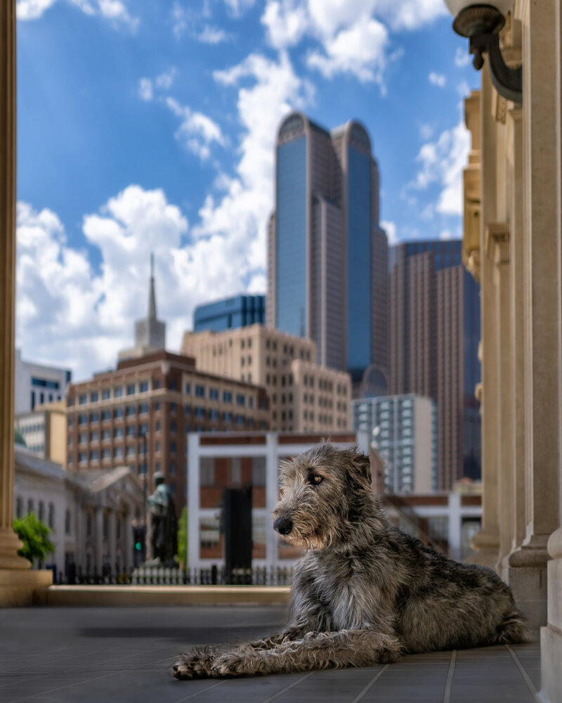 Fletcher-09738