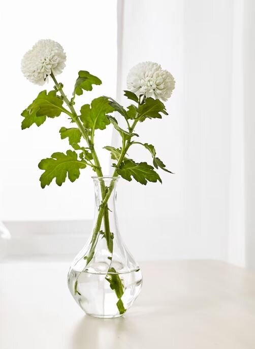 Classic clear bud vase-Rori Ranch Rentals