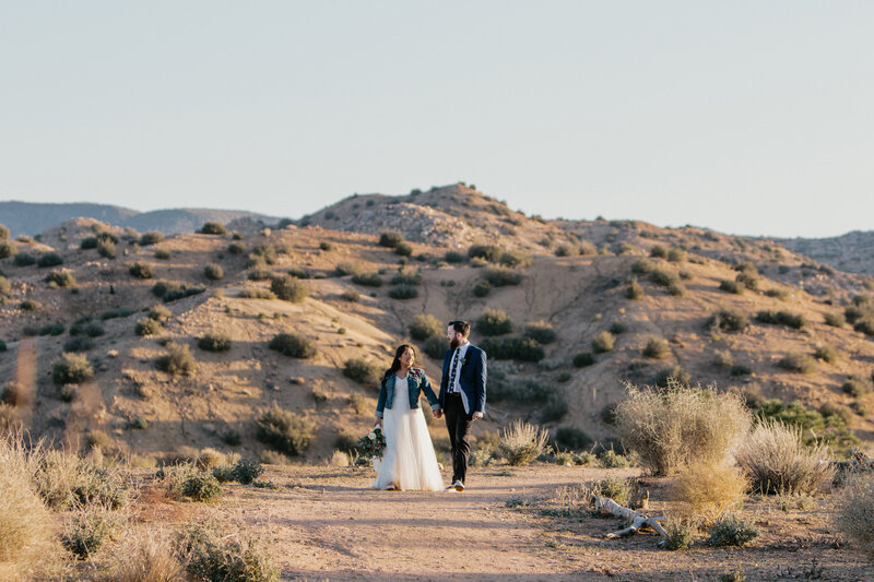 Bride and Groom walk in desert