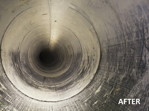 Duzagroup-BLOW-OUT-after-WEB
