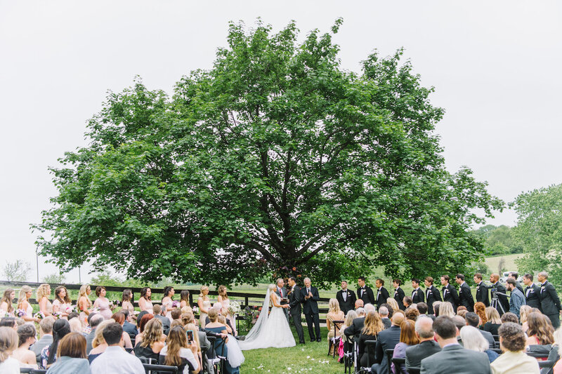 tranquility-farm-clear-tent-weddings-virginia-dc-washingtonian-weddings00033