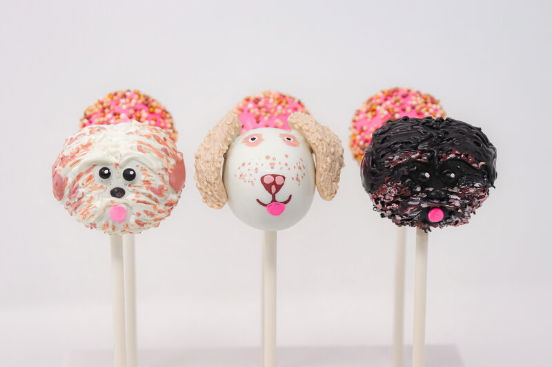 bakery - cakes - cake pops -north dakota -277