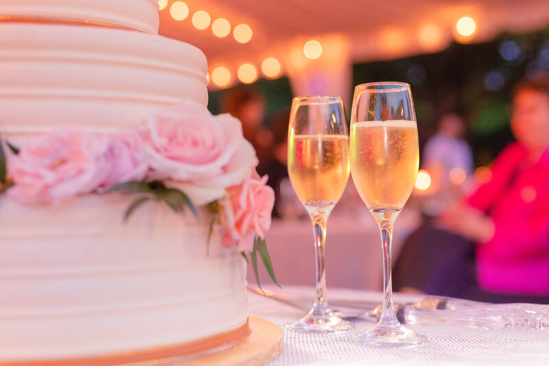 Great Fall Virginia Backyard Wedding in the Spring in DC
