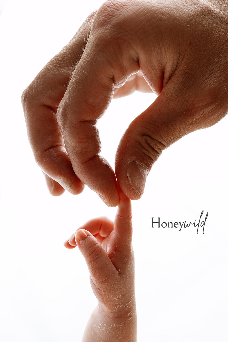 Close-up of newborn hand Grand Rapids newborn photography