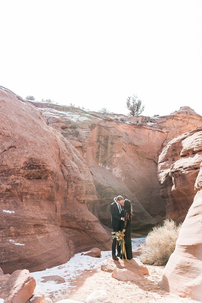 shio-ron-arizona-wedding-portrait-elopement-photosDSC_3291