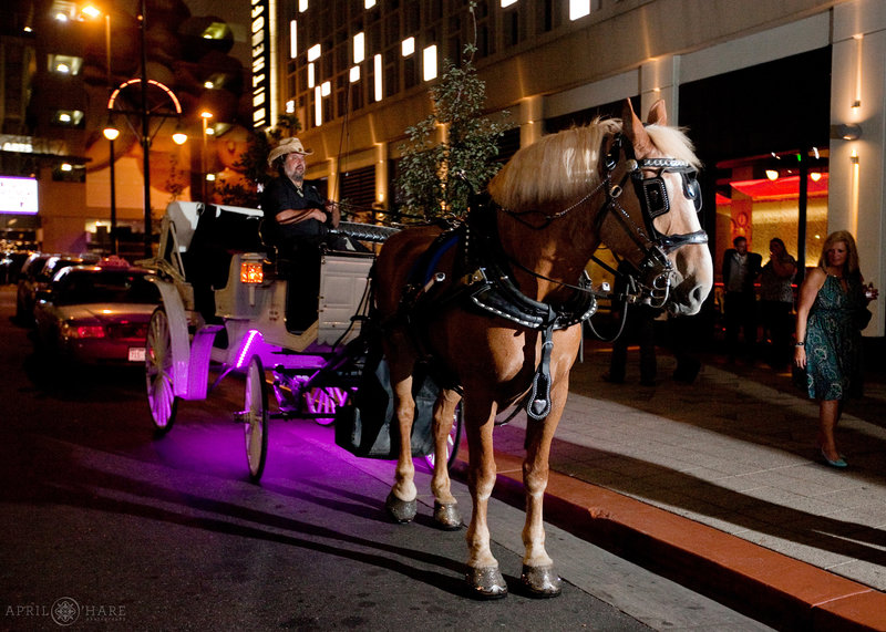 Horse Drawn Carriage outside of Curtis Hotel in Denver Colorado