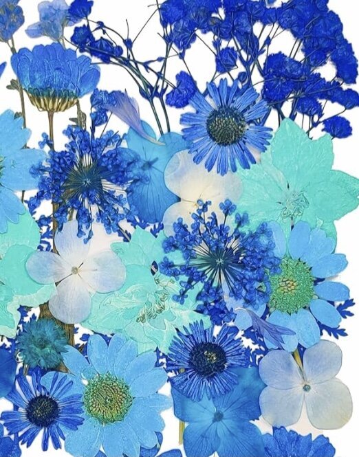 Tethys blossoms