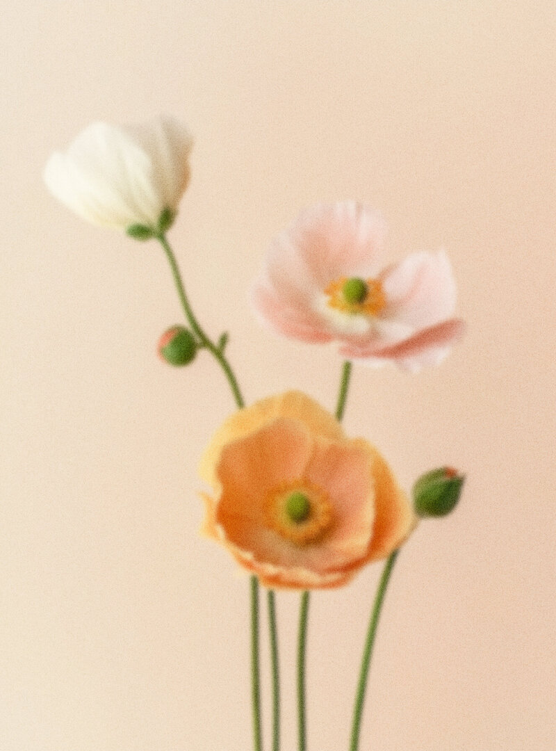 Grainy Floral Image