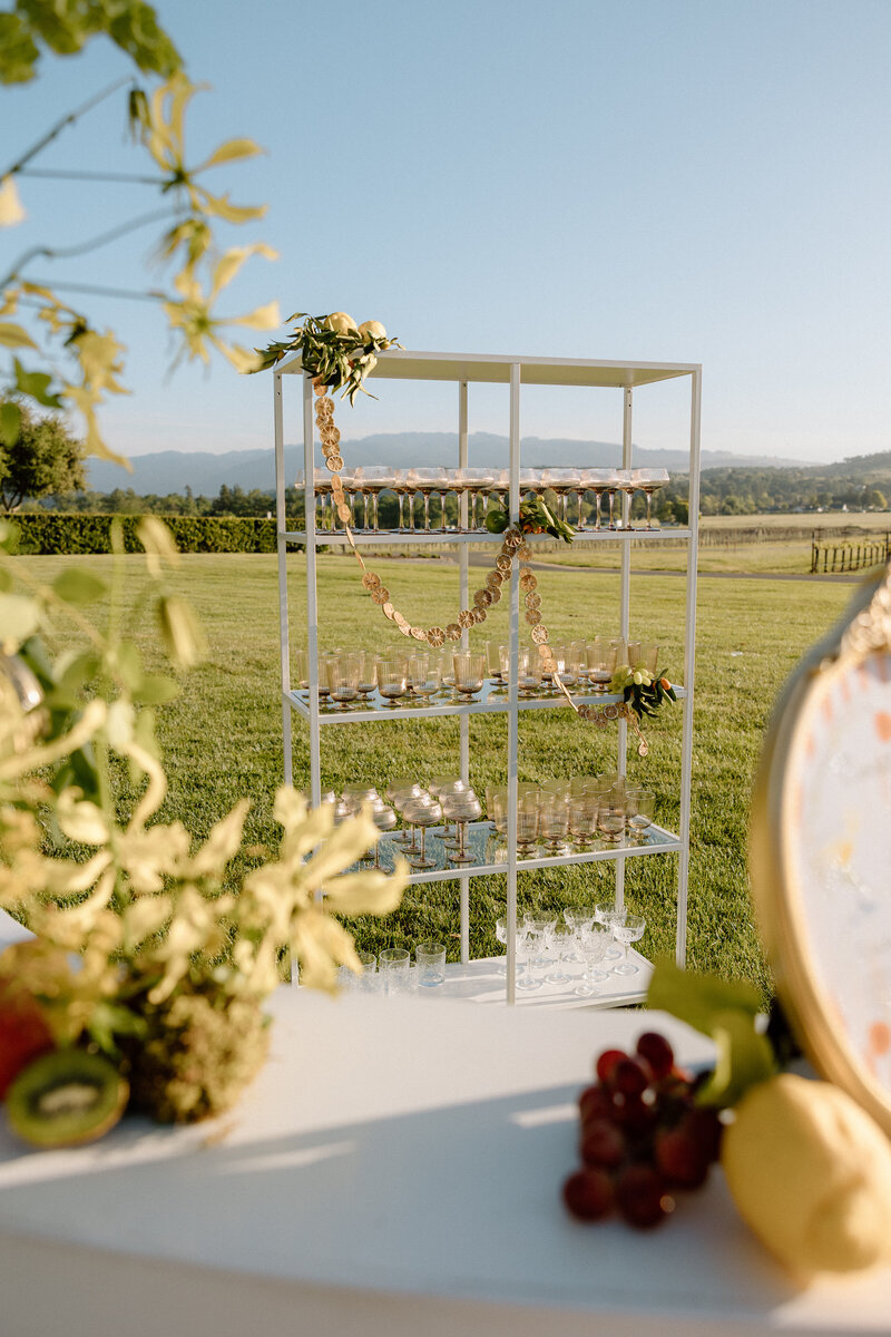 Katelyn Bradley Photography | Chatuea St Jean Napa Wedding233