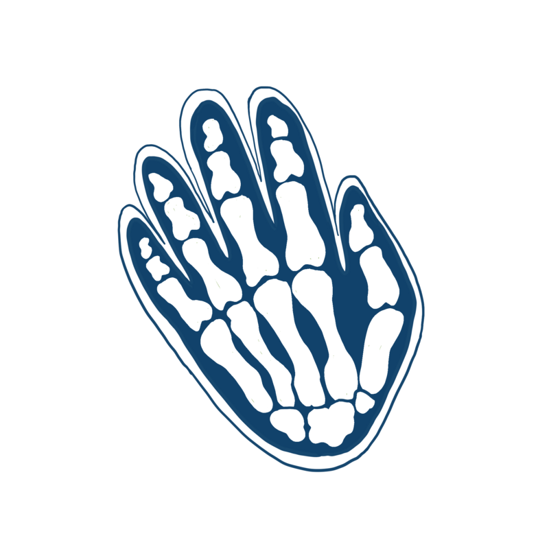 light blue illustration of a skeletal left hand