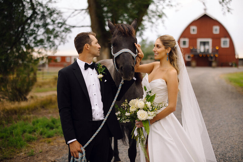 Estes Park Wedding Photographer Denver Wedding Venue Planner Della Terra Mountain Top Fall Colorful Wedding Liz Osban Photography Black Canyon Inn Wyoming Wedding Photographer Elopement Engagement 30