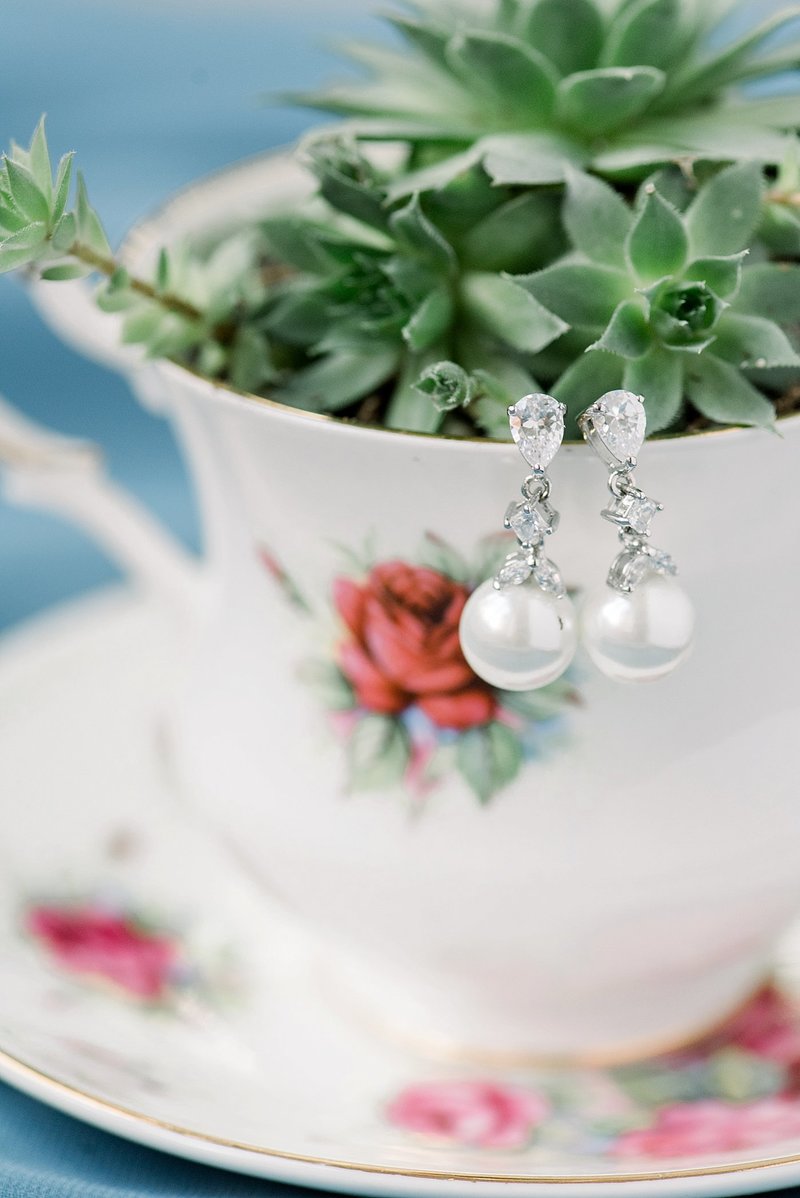 connie-mitch-erie-pennsylvania-wedding-photographerDSC_1435