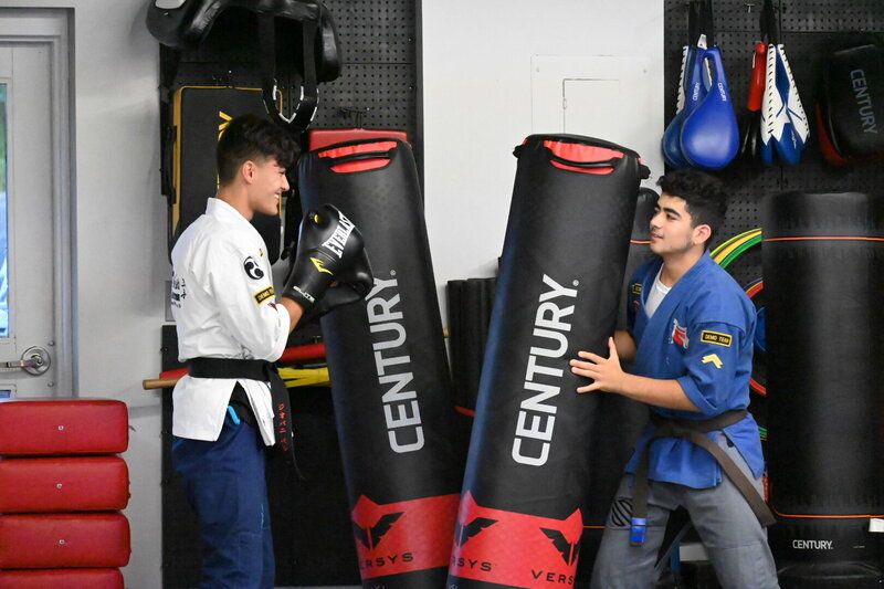 Martial arts boxing practice