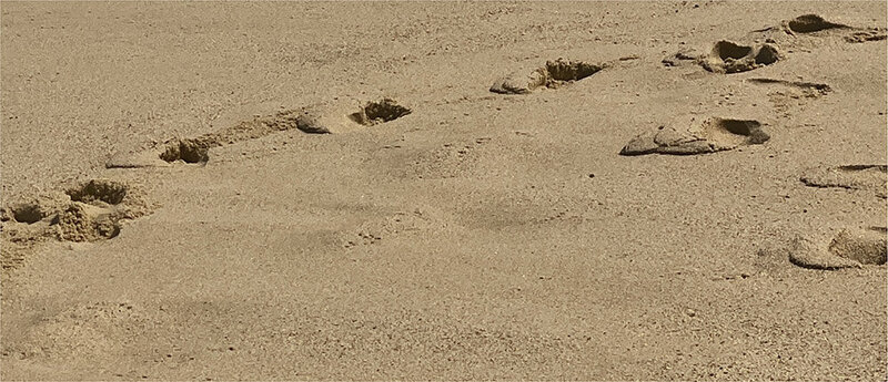 Footprints in the sand