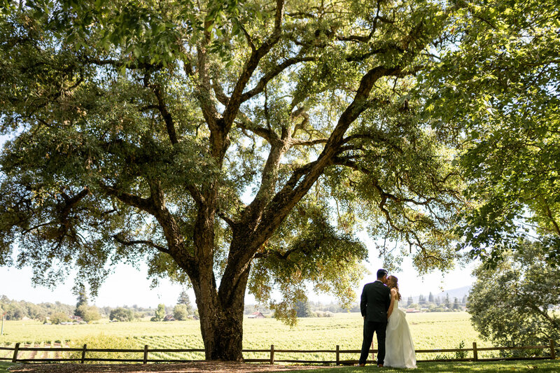 sonoma-wedding-photographer-ru's farm-002