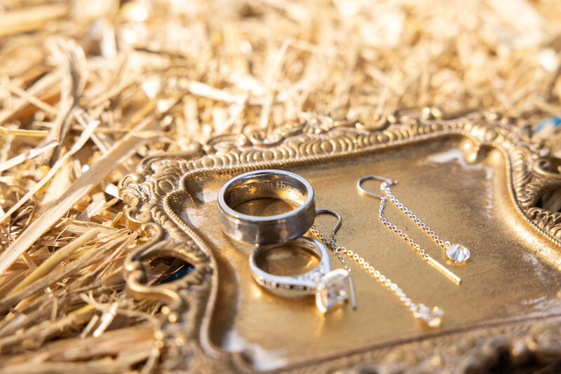 Wedding Photographer Engagement Session, Wedding Photographer, Equine Photographer, Photographer, Sacramento Photographer, Travel Photographer 