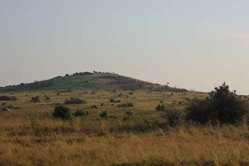 safariedited-236