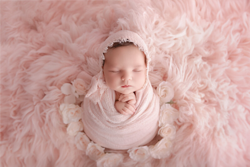 A fine-art newborn portrait featuring a baby girl wrapped in blush and surrounded by soft roses on a pink flokati rug. Shot in our Paris, Ontario studio.