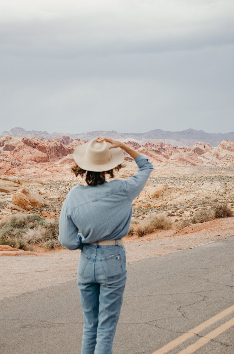 A person in a denim outfit stands on a road, with back turned, gazing at a vast desert landscape with red rock formations under a cloudy sky.