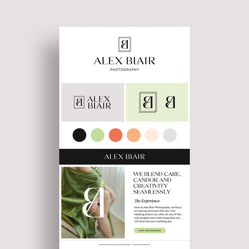 brand guidelines for Alex Blair