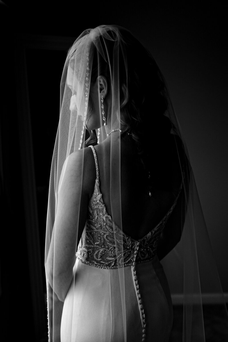 Classic bridal portrait in black and white with the veil over the brides face in Toledo Ohio