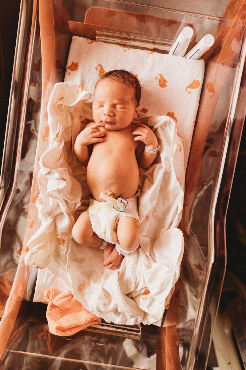 baby in basket with Longhorn behind