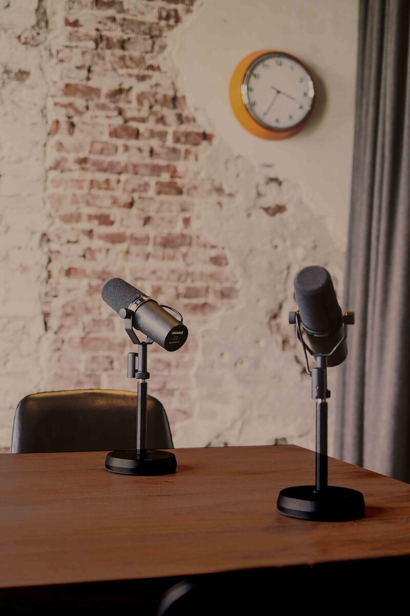 Earforce-Geluidsstudio-Amsterdam-Audio-Post-Voiceover-Geluidsproducties-muziek-podcast-webinar-studio-2-microfoons