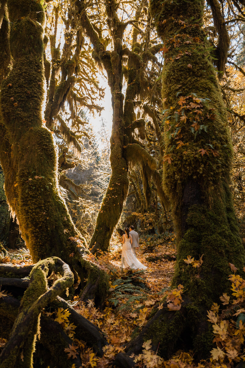 Bride and groom holding hands and walking through the Hoh Rainforest during their elopement day in Olympic National Park in the fall