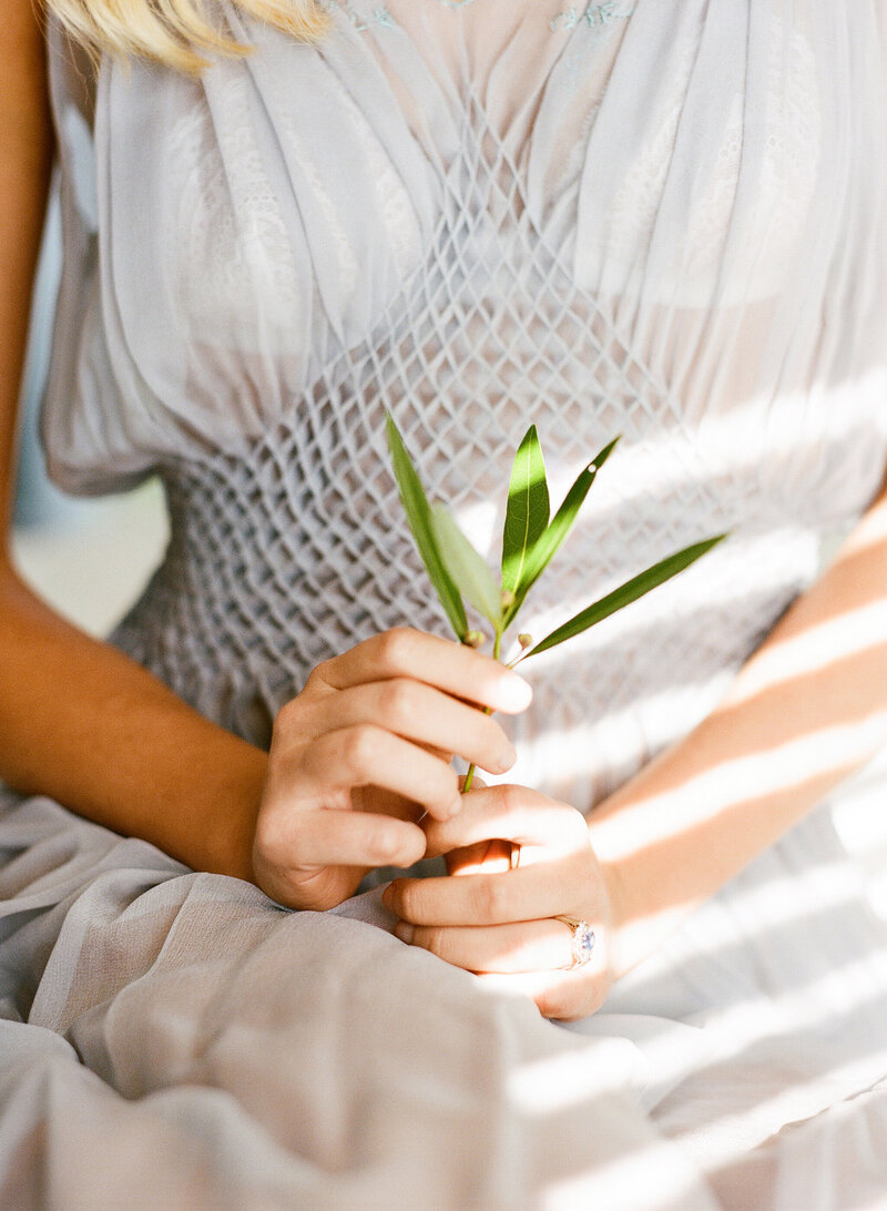 Marble + Pine Film Scans 129