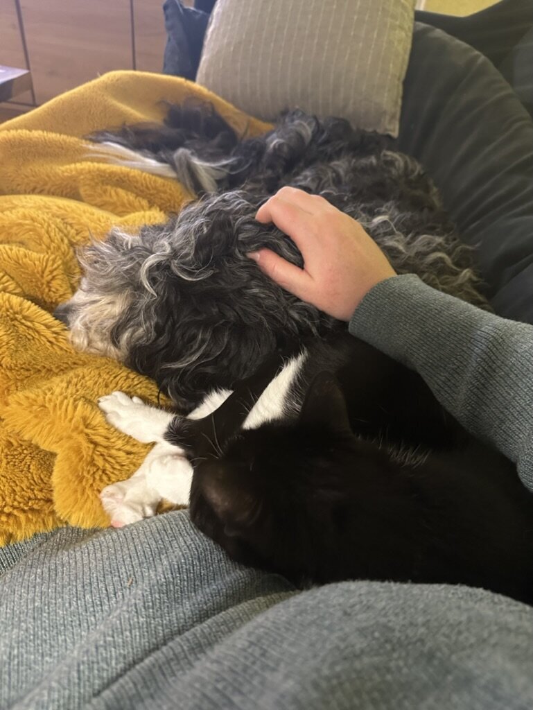 40DB49ED-174E-4B4A-82AB-AF8E307FD10B_1_105_c