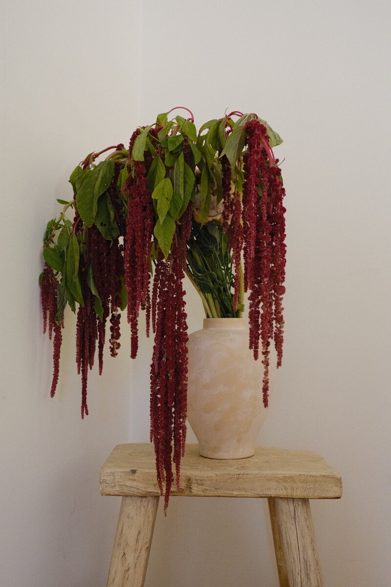 flowers in vase on stool, plant, calming