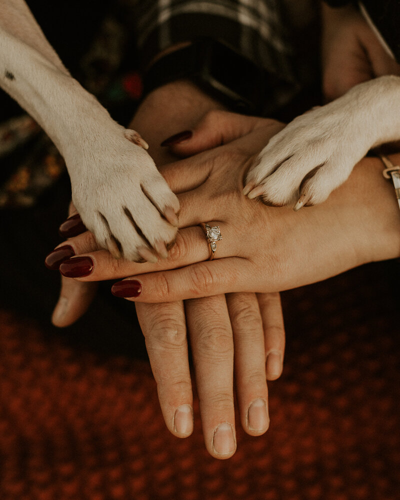 hands stacked with engagement ring on top and dog paws