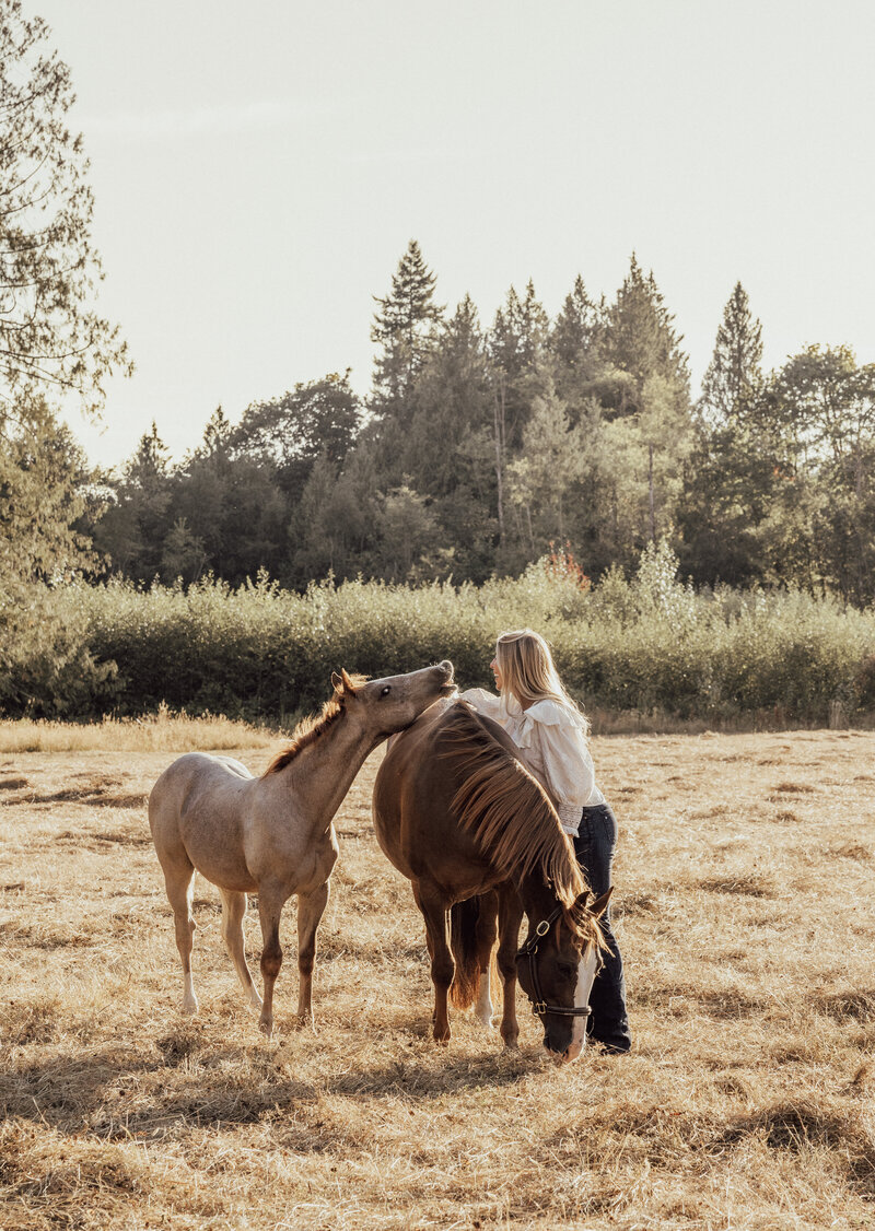 Cats Picasso, an award winning, performance stallion with brown coast and white snout and lower legs.