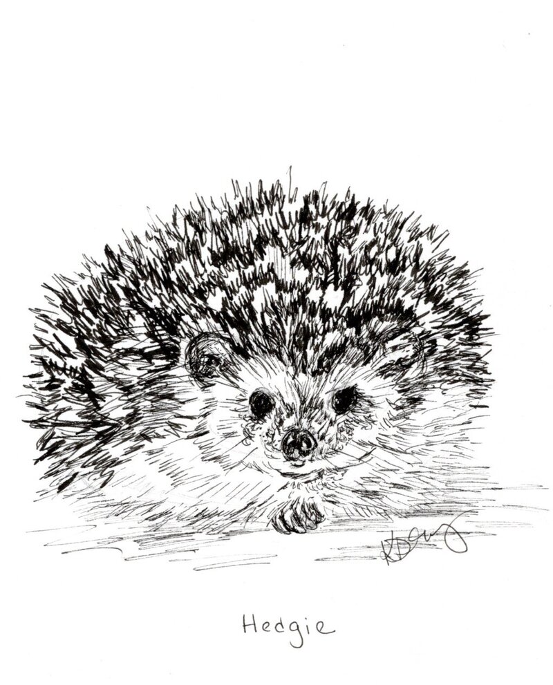 kd gregory fine art - hedgie