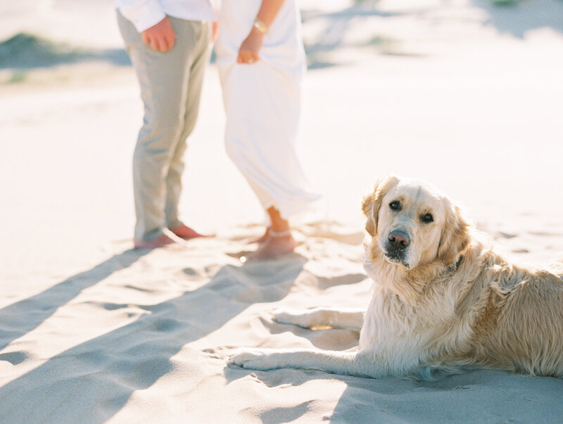 Grand-Rapids-Michigan-wedding-photographer_09