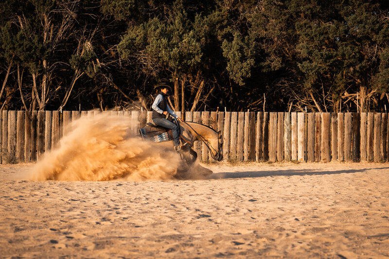 Horse and rider photography houston tx