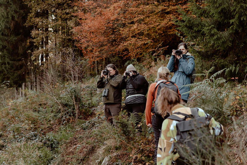 JolijnGommansPhotography_WilderlandsoftheArdennes_okt2025-20