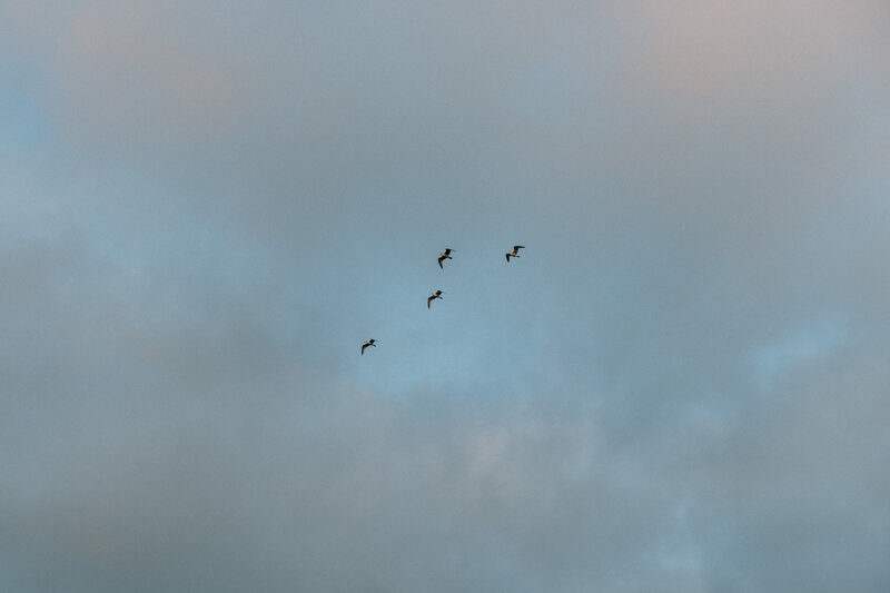 travel-16