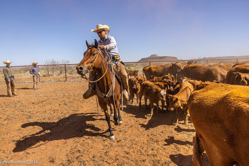 Ranch branding