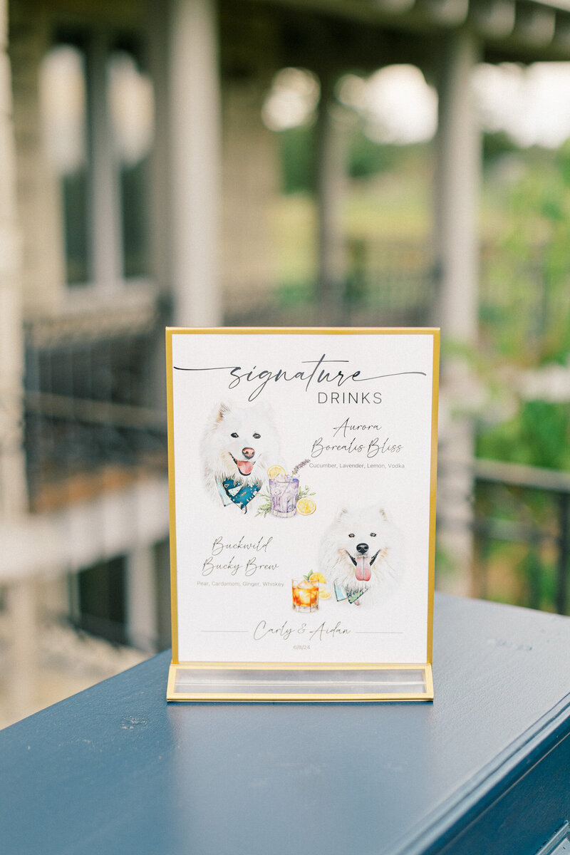 Greystone-Castle-Wedding-Photographer-59