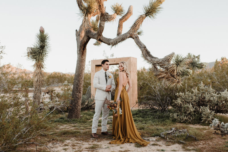 joshuatreeeditorial-239