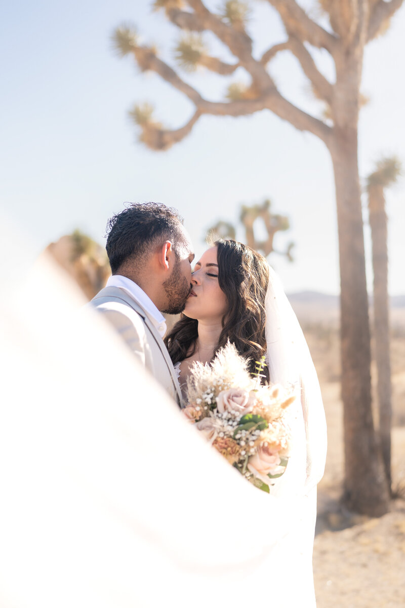 Joshua Tree Elopement Bride and Groom at Hidden Valley elopement ceremony kissing with wedding veil.