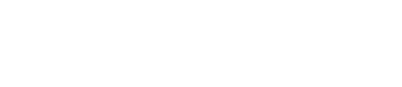 VISUALLIFT_LOGO_valk