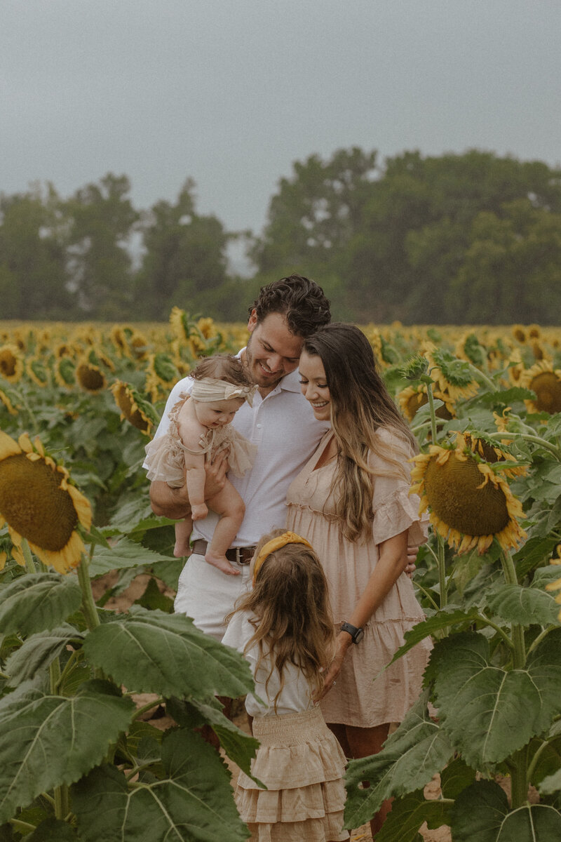 Sunflower Session-48
