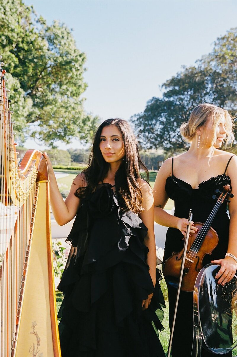 ADORN STRINGS - MARCH 2025-069
