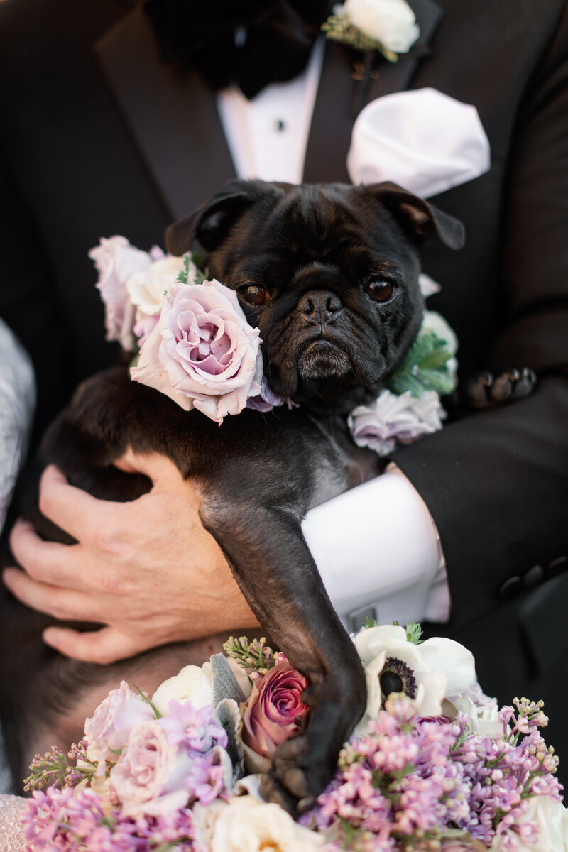 catherineandpaulWED_0227(1)